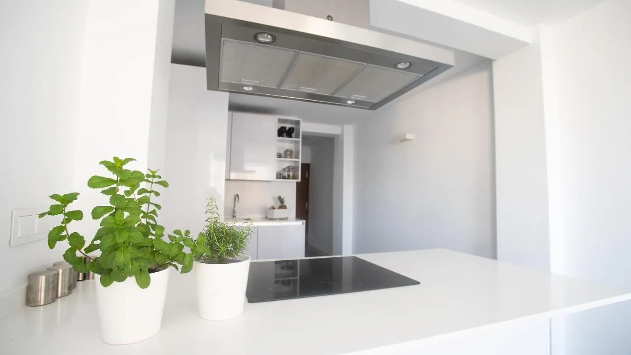 Enjoy Malaga On The Beachfront